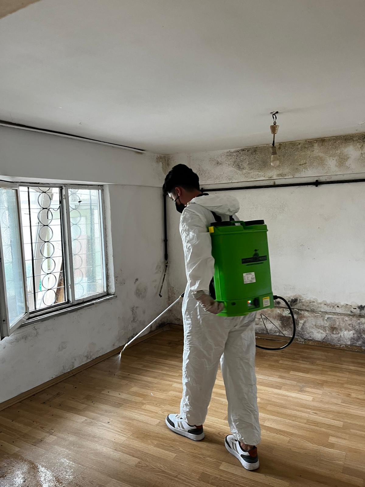 Balkan Haşere İlaçlama